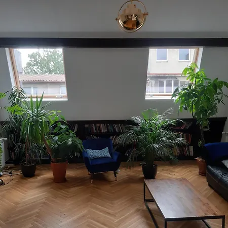 Apartment Attic