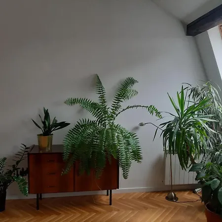 Apartment Attic *