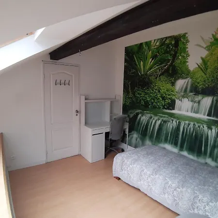 Apartment Attic *